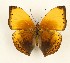  ( - CTBB-4060)  @11 [ ] Copyright © (2023) Thierry Bouyer Research Collection of Thierry Bouyer