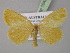  ( - BC ZSM Lep 10423)  @13 [ ] CreativeCommons - Attribution Non-Commercial Share-Alike (2010) Unspecified SNSB, Zoologische Staatssammlung Muenchen