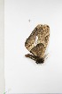  ( - BC-TB3869)  @12 [ ] Copyright (2010) Unspecified Research Collection of Thierry Bouyer