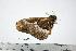  ( - BC-TB0447)  @12 [ ] Copyright (2010) Unspecified Research Collection of Thierry Bouyer