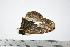  ( - BC-TB0451)  @12 [ ] Copyright (2010) Unspecified Research Collection of Thierry Bouyer