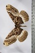  ( - BC-TB4768)  @12 [ ] Copyright (2010) Unspecified Research Collection of Thierry Bouyer