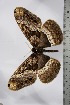  ( - BC-TB4769)  @12 [ ] Copyright (2010) Unspecified Research Collection of Thierry Bouyer