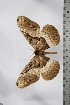  ( - BC-TB4790)  @12 [ ] Copyright (2010) Unspecified Research Collection of Thierry Bouyer