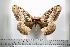  ( - BC-TB0548)  @13 [ ] Copyright (2010) Unspecified Research Collection of Thierry Bouyer