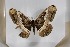 ( - BC-TB5529)  @13 [ ] Copyright (2010) Unspecified Research Collection of Thierry Bouyer