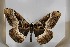  ( - BC-TB5531)  @13 [ ] Copyright (2010) Unspecified Research Collection of Thierry Bouyer