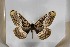  ( - BC-TB5532)  @13 [ ] Copyright (2010) Unspecified Research Collection of Thierry Bouyer