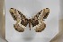  ( - BC-TB5535)  @13 [ ] Copyright (2010) Unspecified Research Collection of Thierry Bouyer