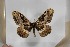  ( - BC-TB5547)  @12 [ ] Copyright (2010) Unspecified Research Collection of Thierry Bouyer
