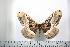  ( - BC-TB0590)  @13 [ ] Copyright (2010) Unspecified Research Collection of Thierry Bouyer