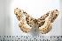  ( - BC-TB0593)  @13 [ ] Copyright (2010) Unspecified Research Collection of Thierry Bouyer