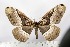  ( - BC-TB2300)  @11 [ ] Copyright (2010) Unspecified Research Collection of Thierry Bouyer