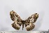  ( - BC-TB2813)  @13 [ ] Copyright (2010) Unspecified Research Collection of Thierry Bouyer