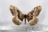  ( - BC-TB3147)  @13 [ ] Copyright (2010) Unspecified Research Collection of Thierry Bouyer
