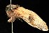  ( - HLC-23134)  @12 [ ] CreativeCommons - Attribution (2010) Unspecified Centre for Biodiversity Genomics