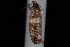  ( - 08-JDWBC-1589)  @12 [ ] CreativeCommons - Attribution (2010) Unspecified University of British Columbia