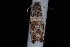  ( - 08-JDWBC-1591)  @12 [ ] CreativeCommons - Attribution (2010) Unspecified University of British Columbia
