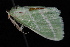  ( - 08-JDWBC-2910)  @12 [ ] CreativeCommons - Attribution (2010) Unspecified University of British Columbia