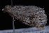  ( - 08-JDWBC-0283)  @12 [ ] CreativeCommons - Attribution (2010) Unspecified University of British Columbia