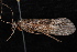  ( - 08-JDWBC-3573)  @13 [ ] CreativeCommons - Attribution (2010) Unspecified Centre for Biodiversity Genomics