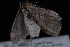  ( - 08-JDWBC-0284)  @12 [ ] CreativeCommons - Attribution (2010) Unspecified University of British Columbia
