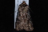  ( - 08-JDWBC-0378)  @12 [ ] CreativeCommons - Attribution (2010) Unspecified University of British Columbia