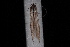  ( - 08-JDWBC-1695)  @12 [ ] CreativeCommons - Attribution (2010) Unspecified University of British Columbia