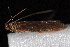  ( - 08-JDWBC-3013)  @13 [ ] CreativeCommons - Attribution (2010) Unspecified Centre for Biodiversity Genomics