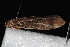  ( - 08-JDWBC-3014)  @13 [ ] CreativeCommons - Attribution (2010) Unspecified Centre for Biodiversity Genomics