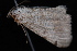  ( - 08-JDWBC-1137)  @12 [ ] CreativeCommons - Attribution (2010) Unspecified University of British Columbia
