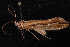  ( - 08-JDWBC-3018)  @12 [ ] CreativeCommons - Attribution (2010) Unspecified Centre for Biodiversity Genomics