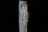  ( - 08-JDWBC-1236)  @12 [ ] CreativeCommons - Attribution (2010) Unspecified University of British Columbia