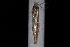  ( - 08-JDWBC-1800)  @13 [ ] CreativeCommons - Attribution (2010) Unspecified University of British Columbia