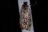  ( - 08-JDWBC-1520)  @12 [ ] CreativeCommons - Attribution (2010) Unspecified University of British Columbia