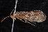  ( - 08-JDWBC-3494)  @12 [ ] CreativeCommons - Attribution (2010) Unspecified Centre for Biodiversity Genomics