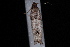  ( - 08-JDWBC-2191)  @12 [ ] CreativeCommons - Attribution (2010) Unspecified University of British Columbia