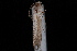  ( - 08-JDWBC-1159)  @13 [ ] CreativeCommons - Attribution (2010) Unspecified University of British Columbia