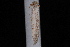  ( - 08-JDWBC-1163)  @12 [ ] CreativeCommons - Attribution (2010) Unspecified University of British Columbia