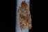  ( - 08-JDWBC-1544)  @12 [ ] CreativeCommons - Attribution (2010) Unspecified University of British Columbia