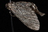  ( - 08-JDWBC-1925)  @12 [ ] CreativeCommons - Attribution (2010) Unspecified University of British Columbia