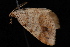  ( - 08-JDWBC-2117)  @12 [ ] CreativeCommons - Attribution (2010) Unspecified University of British Columbia