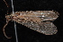  ( - 08-JDWBC-3621)  @13 [ ] CreativeCommons - Attribution (2010) Unspecified Centre for Biodiversity Genomics