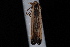  ( - 08-JDWBC-1555)  @12 [ ] CreativeCommons - Attribution (2010) Unspecified University of British Columbia