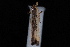  ( - 08-JDWBC-1558)  @12 [ ] CreativeCommons - Attribution (2010) Unspecified University of British Columbia