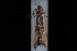  ( - 08-JDWBC-1561)  @12 [ ] CreativeCommons - Attribution (2010) Unspecified University of British Columbia