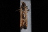  ( - 08-JDWBC-1562)  @12 [ ] CreativeCommons - Attribution (2010) Unspecified University of British Columbia