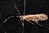  ( - 08-JDWBC-0724)  @13 [ ] CreativeCommons - Attribution (2010) Unspecified Centre for Biodiversity Genomics