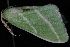  ( - 08-JDWBC-2604)  @12 [ ] CreativeCommons - Attribution (2010) Unspecified University of British Columbia