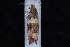  ( - 08-JDWBC-0635)  @12 [ ] CreativeCommons - Attribution (2010) Unspecified University of British Columbia